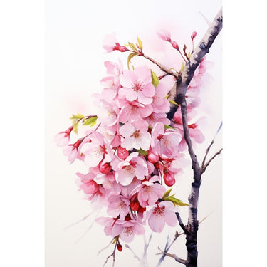 Cherry Blossom Close Up Canvas